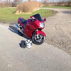 Honda Cbr1100xx super blackbird