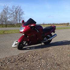 Honda Cbr1100xx super blackbird