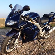 Suzuki SV 1000S