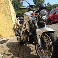 Suzuki SV1000 N