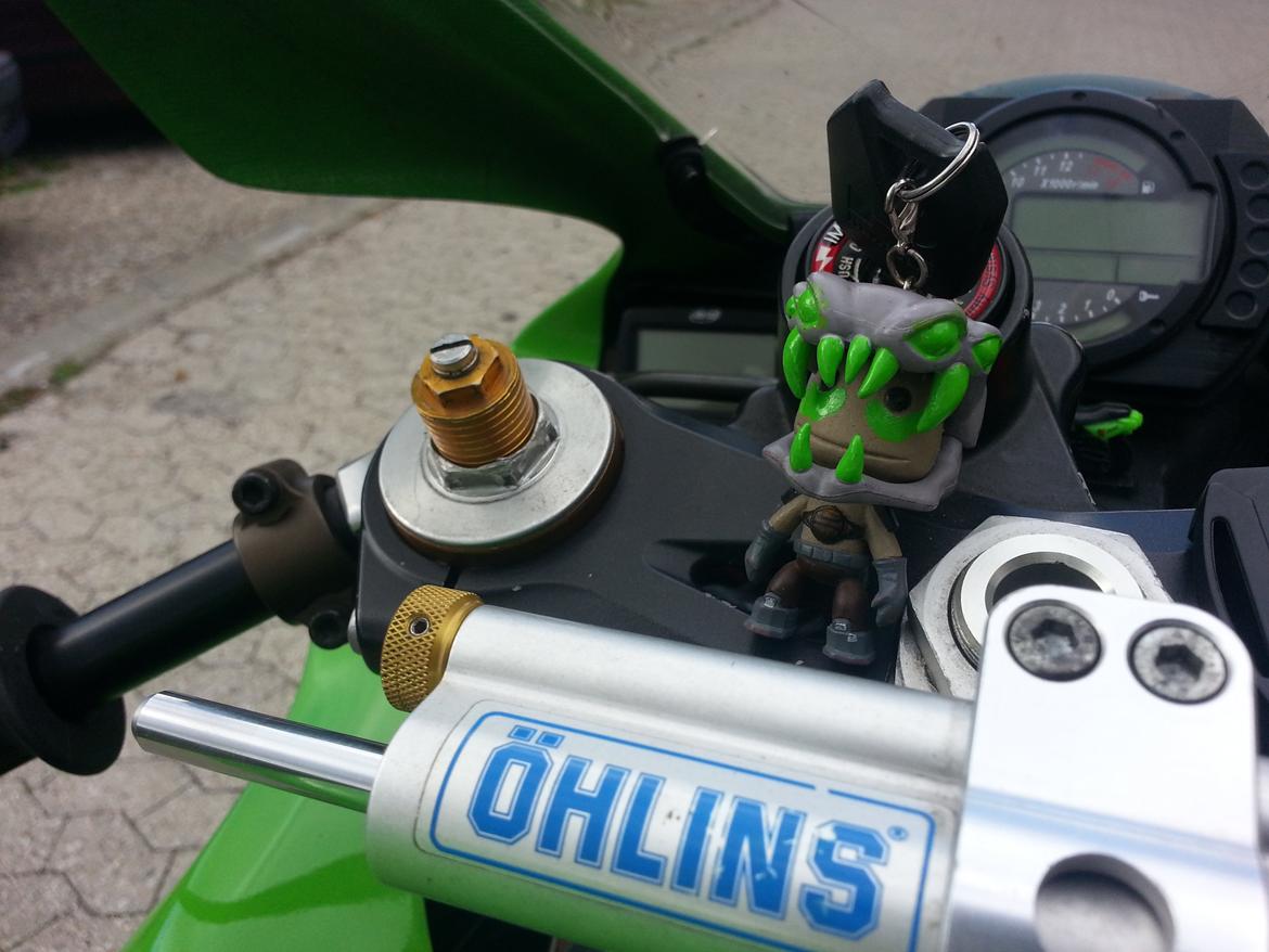 Kawasaki ZX10R billede 1