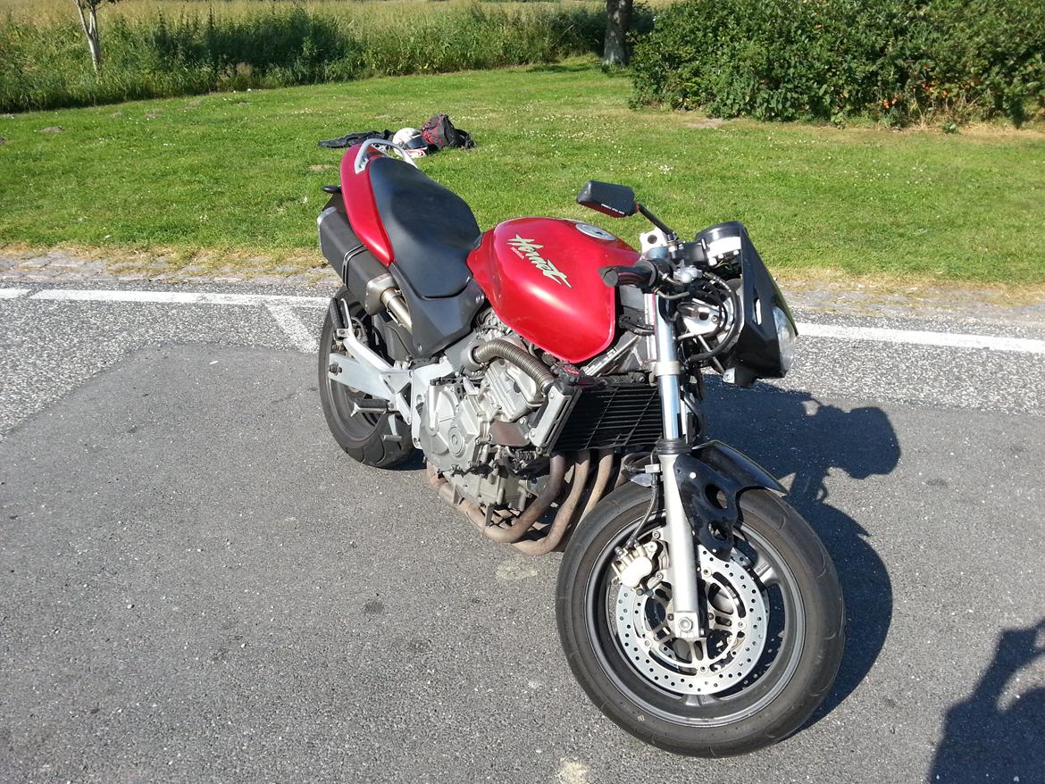 Honda CB600 Hornet billede 6