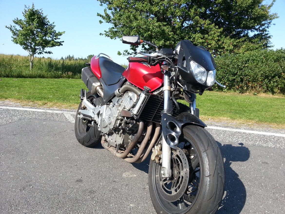 Honda CB600 Hornet billede 9