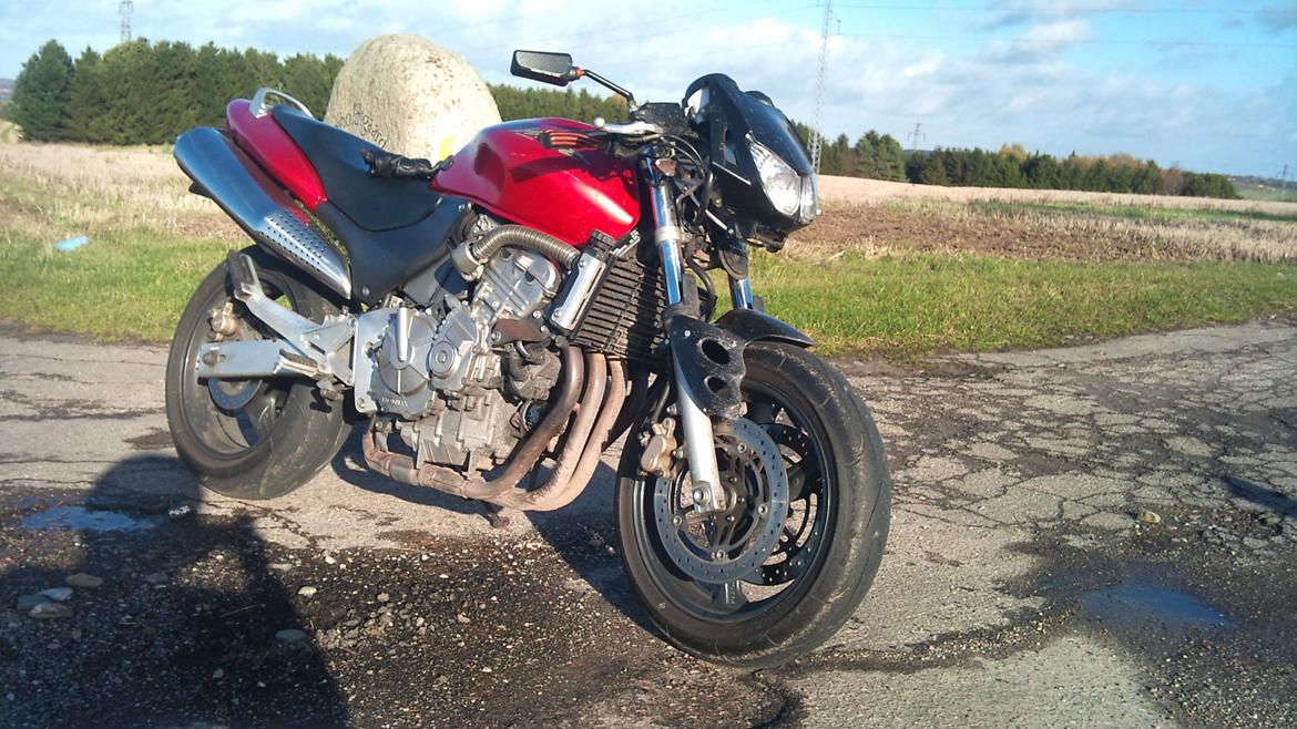 Honda CB600 Hornet billede 24