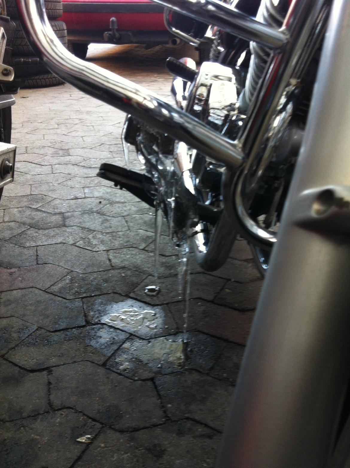 Jinlun 250-5 billede 7