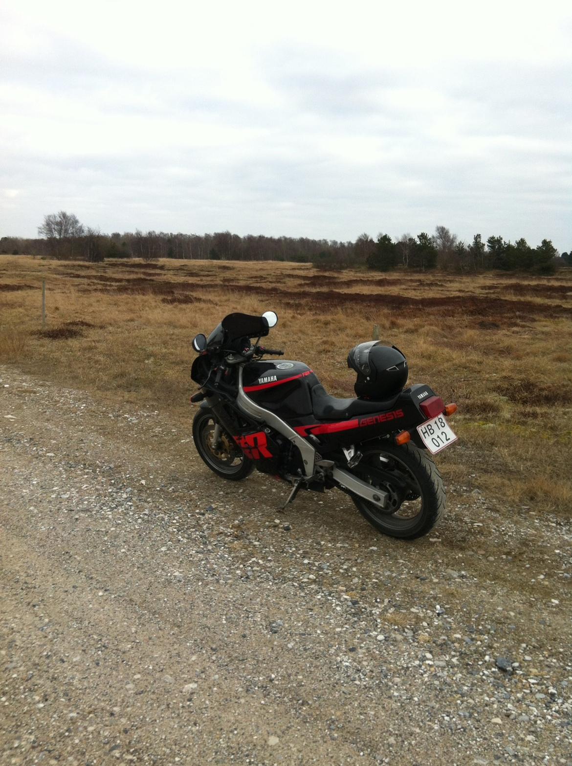 Yamaha FZR 1000 - Grenå 13 billede 15