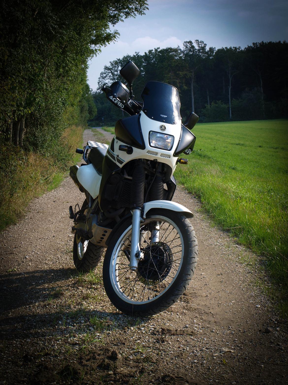 Yamaha XTZ 660 Teneré billede 21