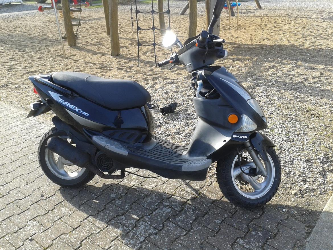 PGO t-rex 110 ccm billede 1
