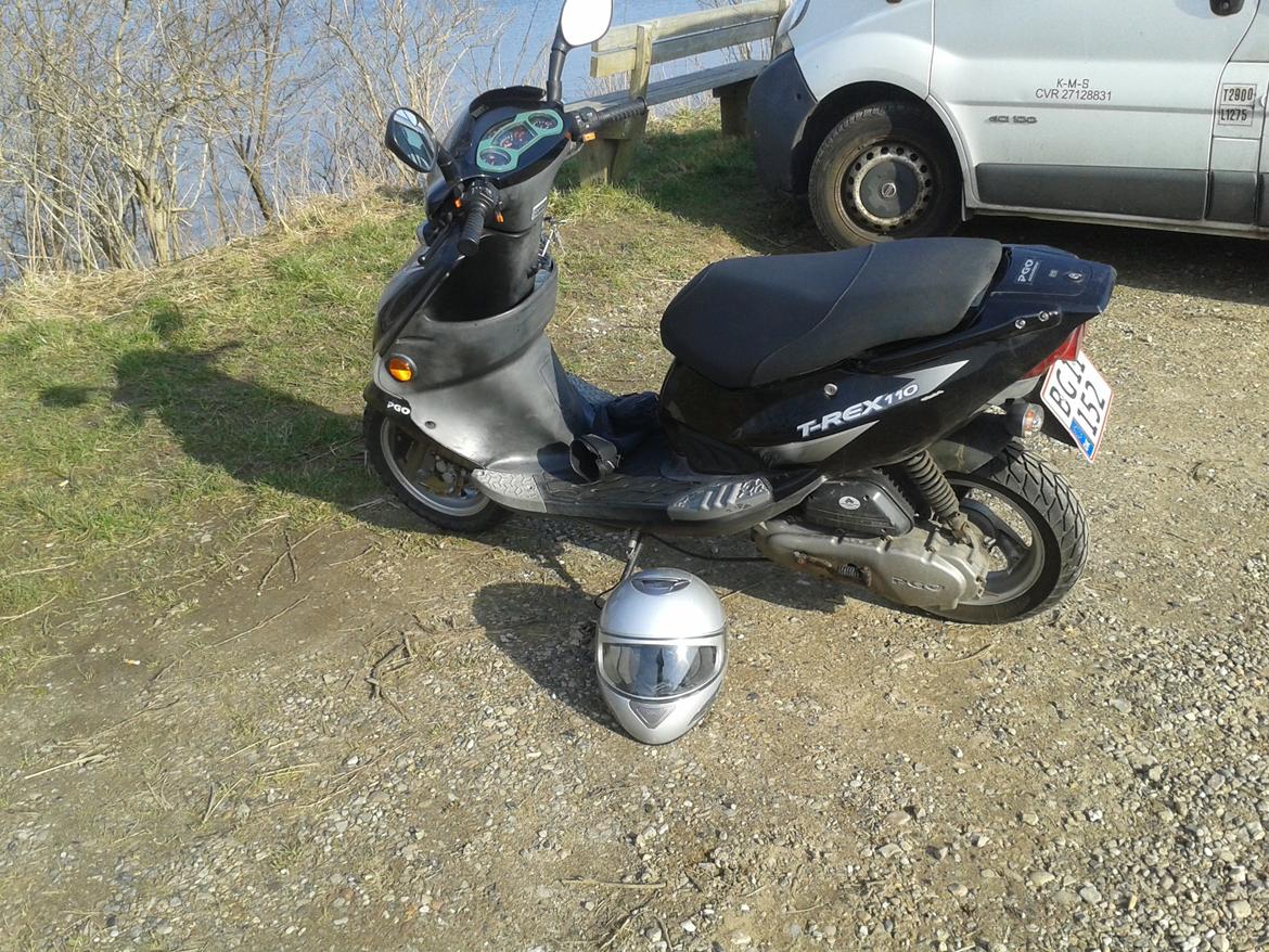 PGO t-rex 110 ccm billede 2