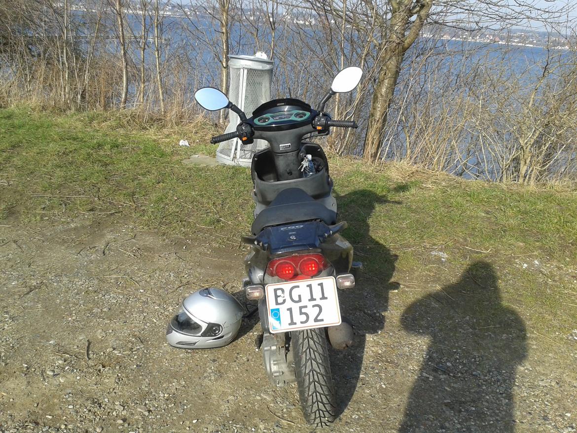 PGO t-rex 110 ccm billede 3