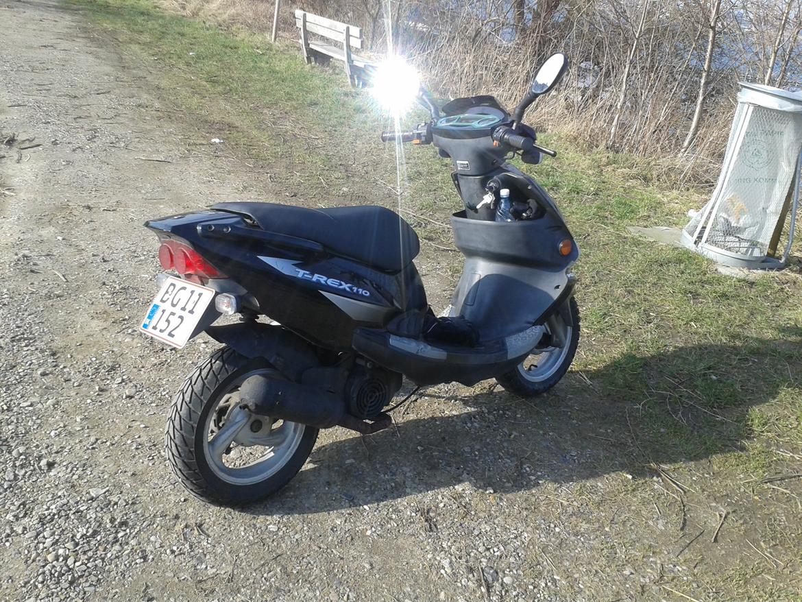 PGO t-rex 110 ccm billede 4