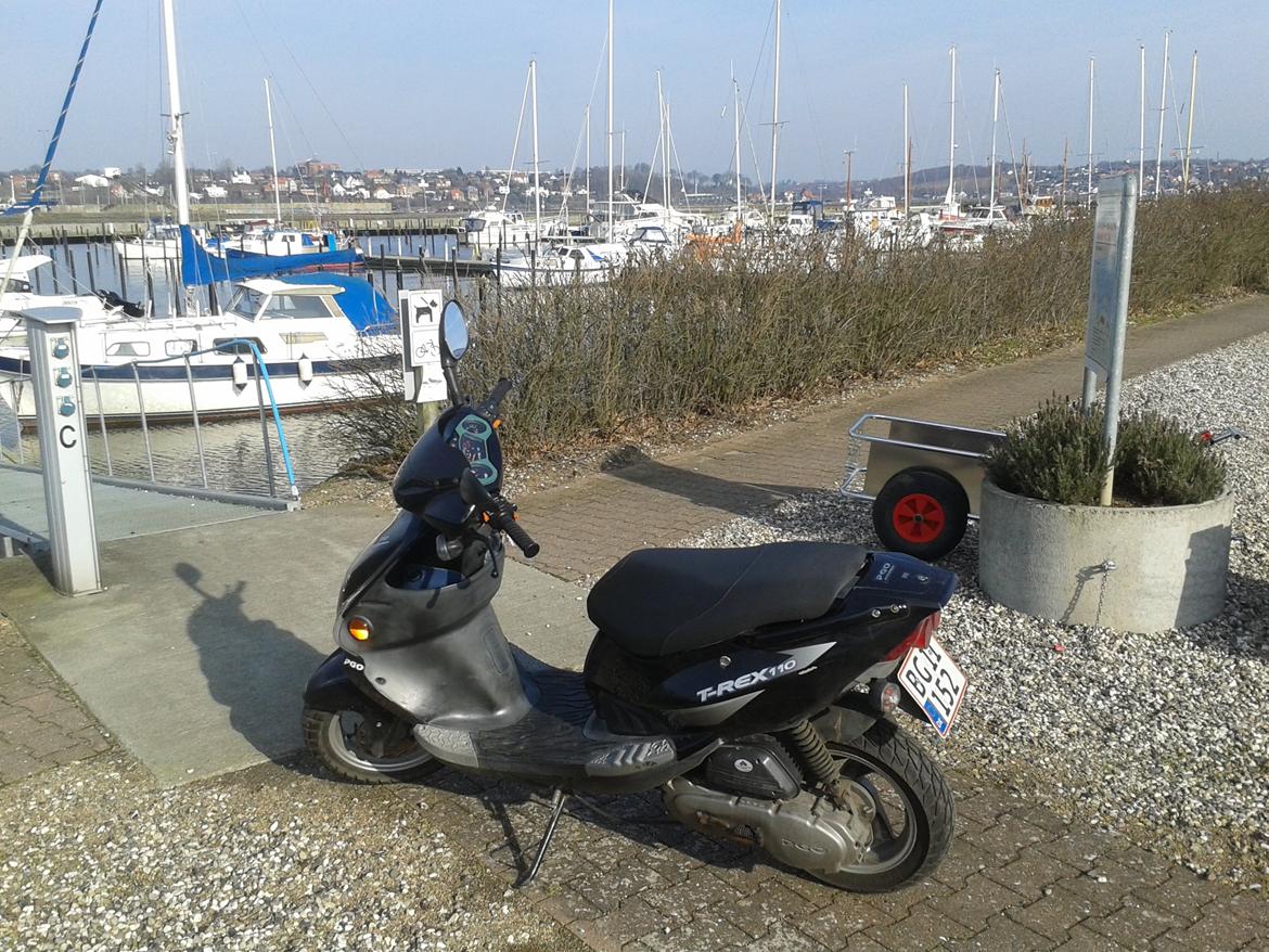 PGO t-rex 110 ccm billede 7