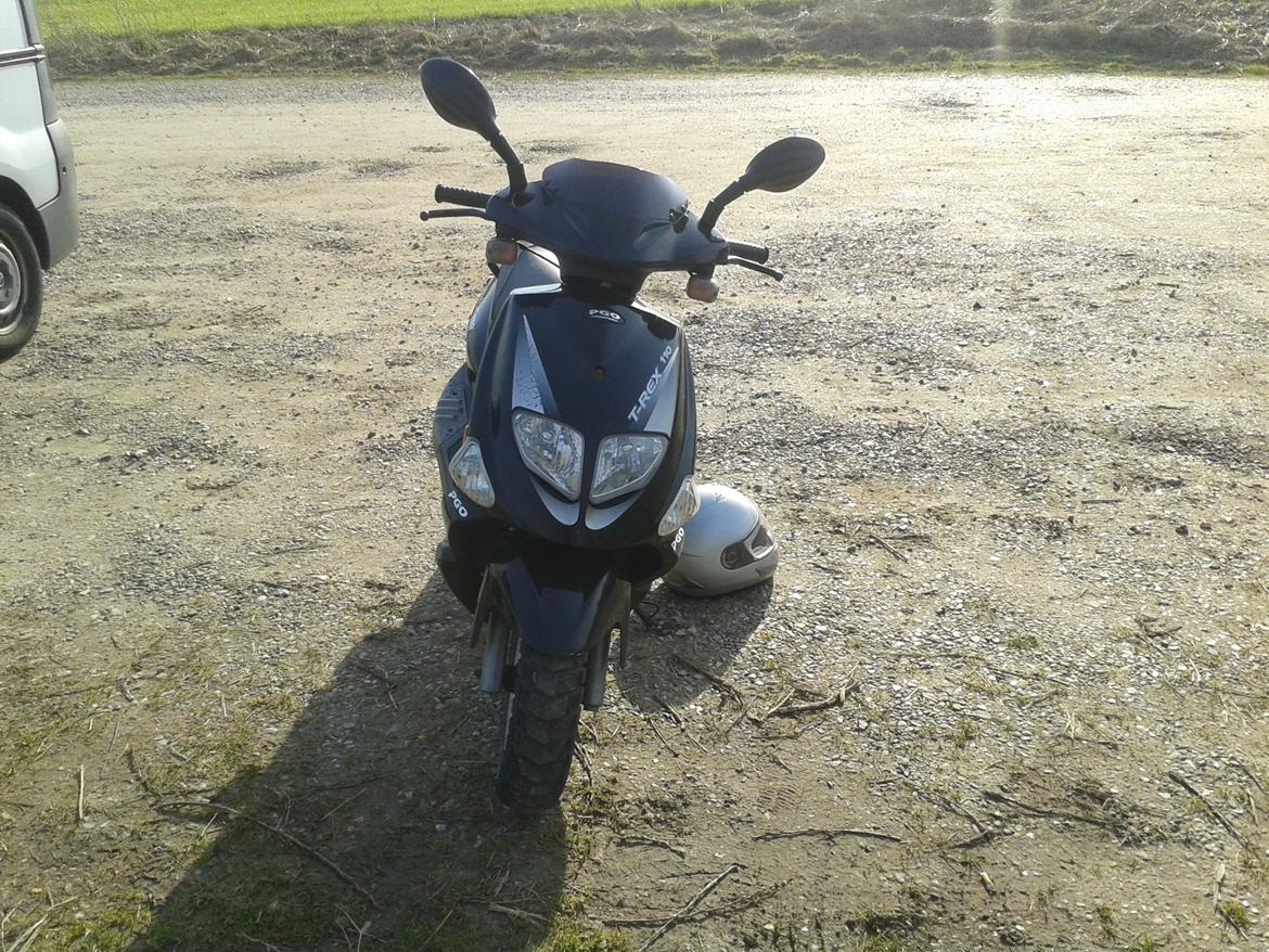 PGO t-rex 110 ccm billede 6