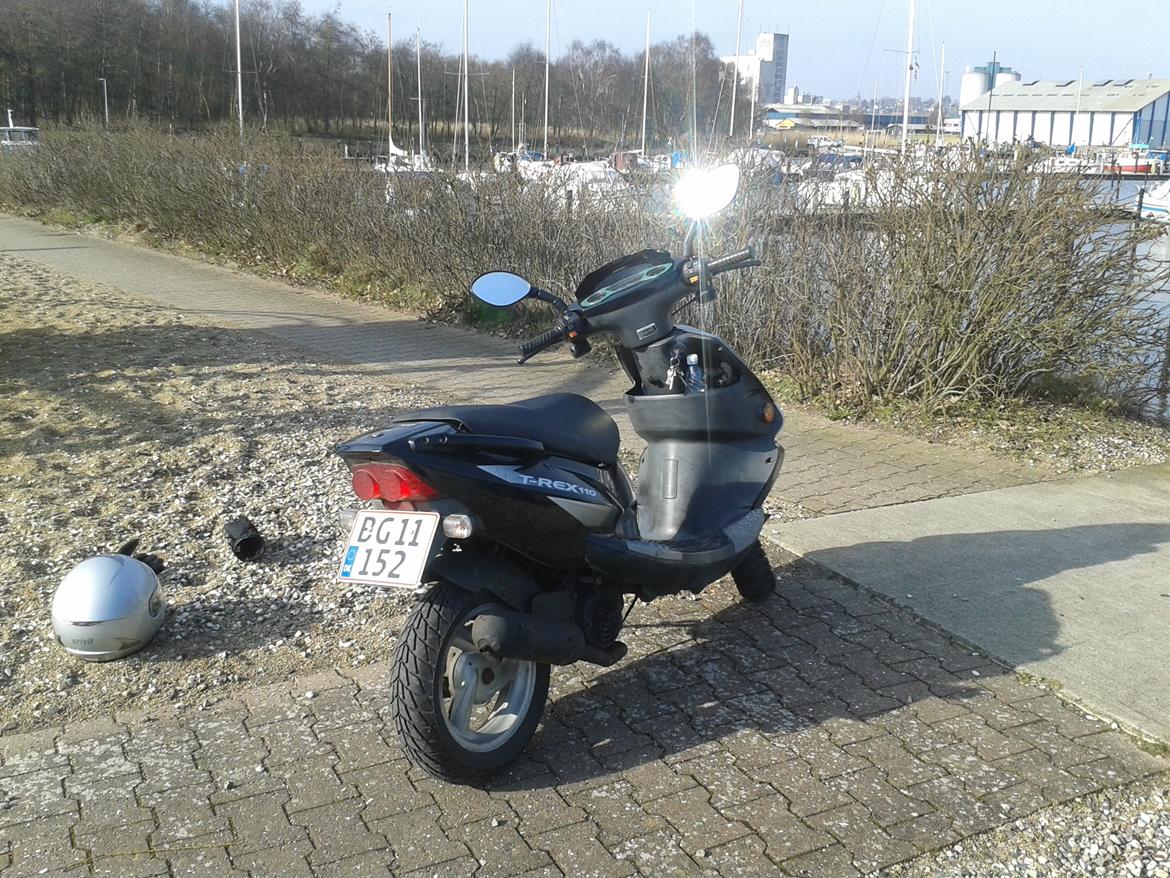 PGO t-rex 110 ccm billede 9