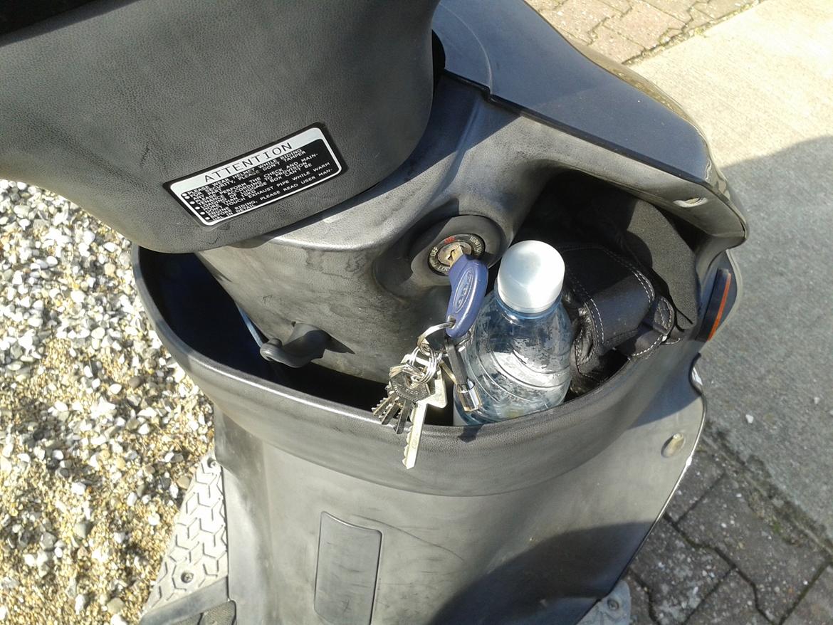 PGO t-rex 110 ccm billede 12