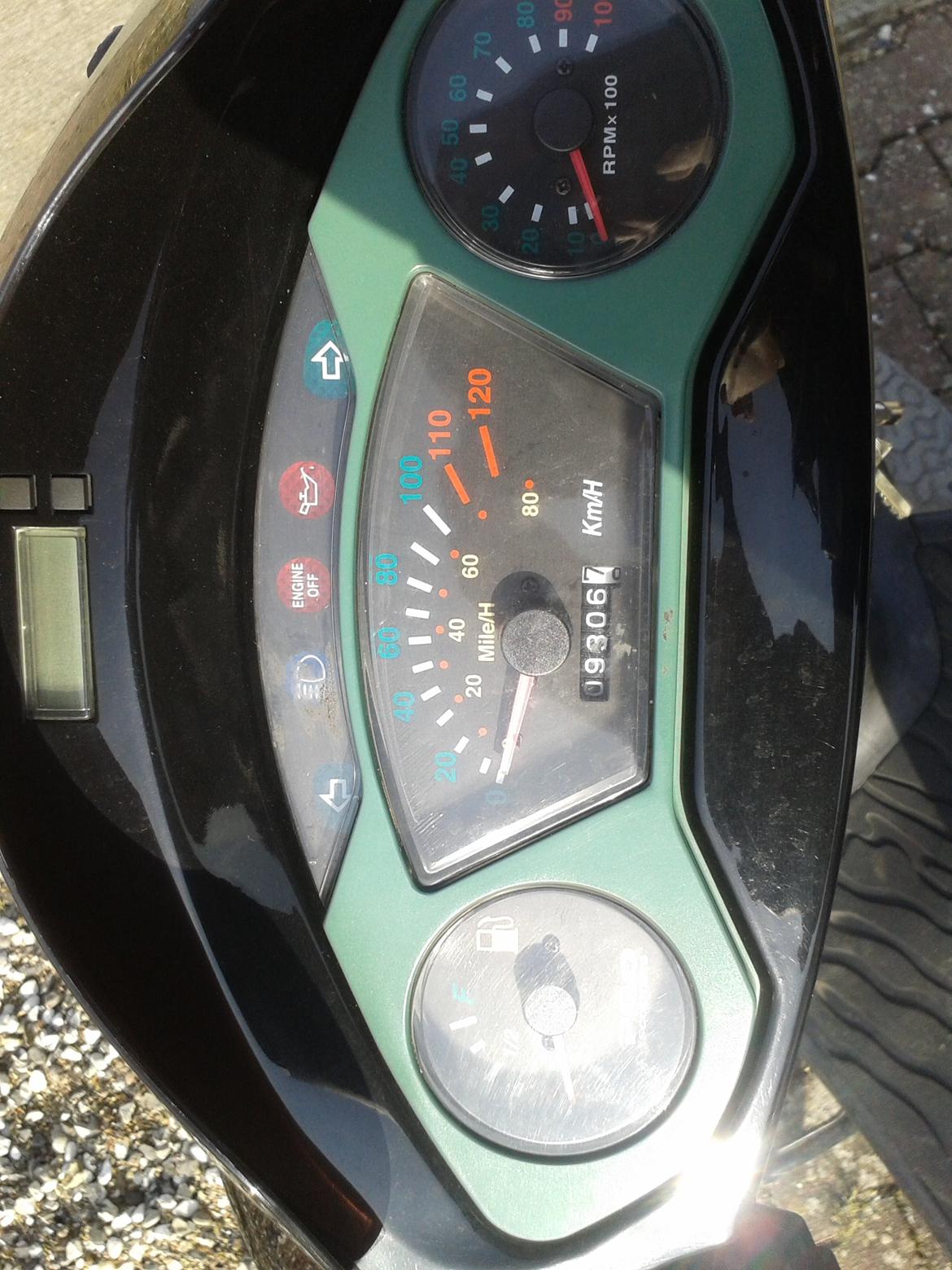 PGO t-rex 110 ccm billede 13