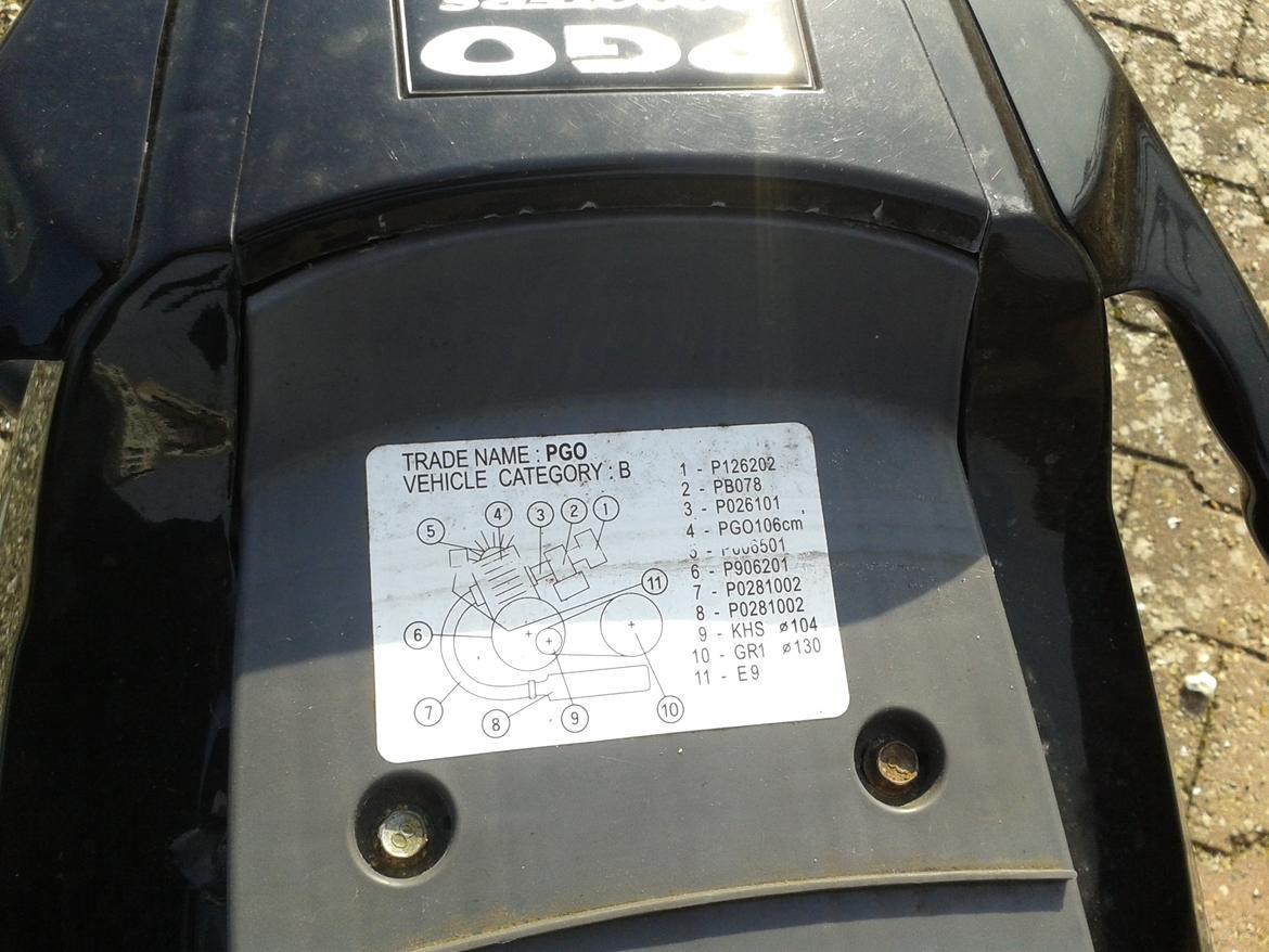 PGO t-rex 110 ccm billede 15