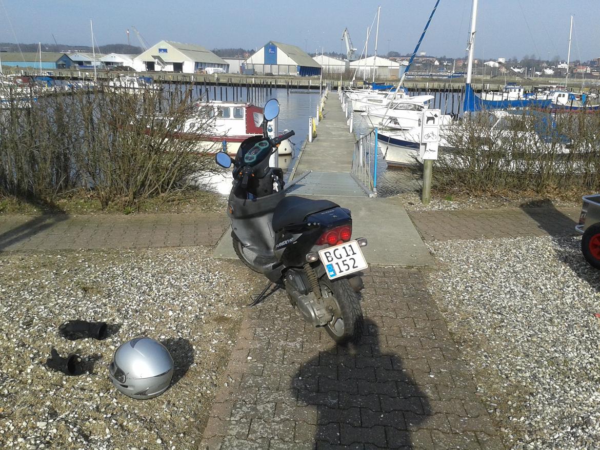 PGO t-rex 110 ccm billede 8