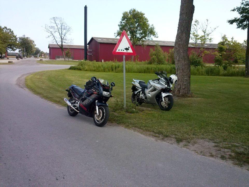 Suzuki GSX 1100 F billede 5