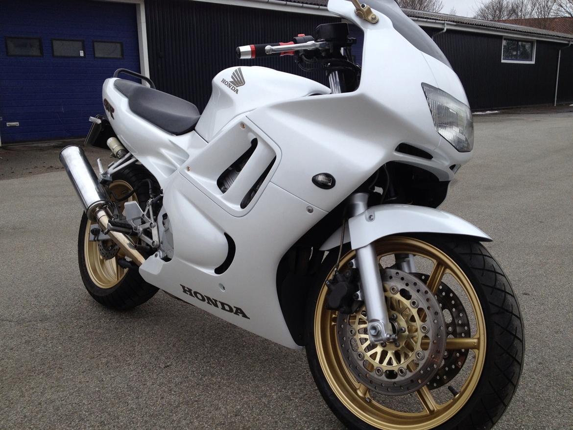 Honda Cbr 600 billede 4