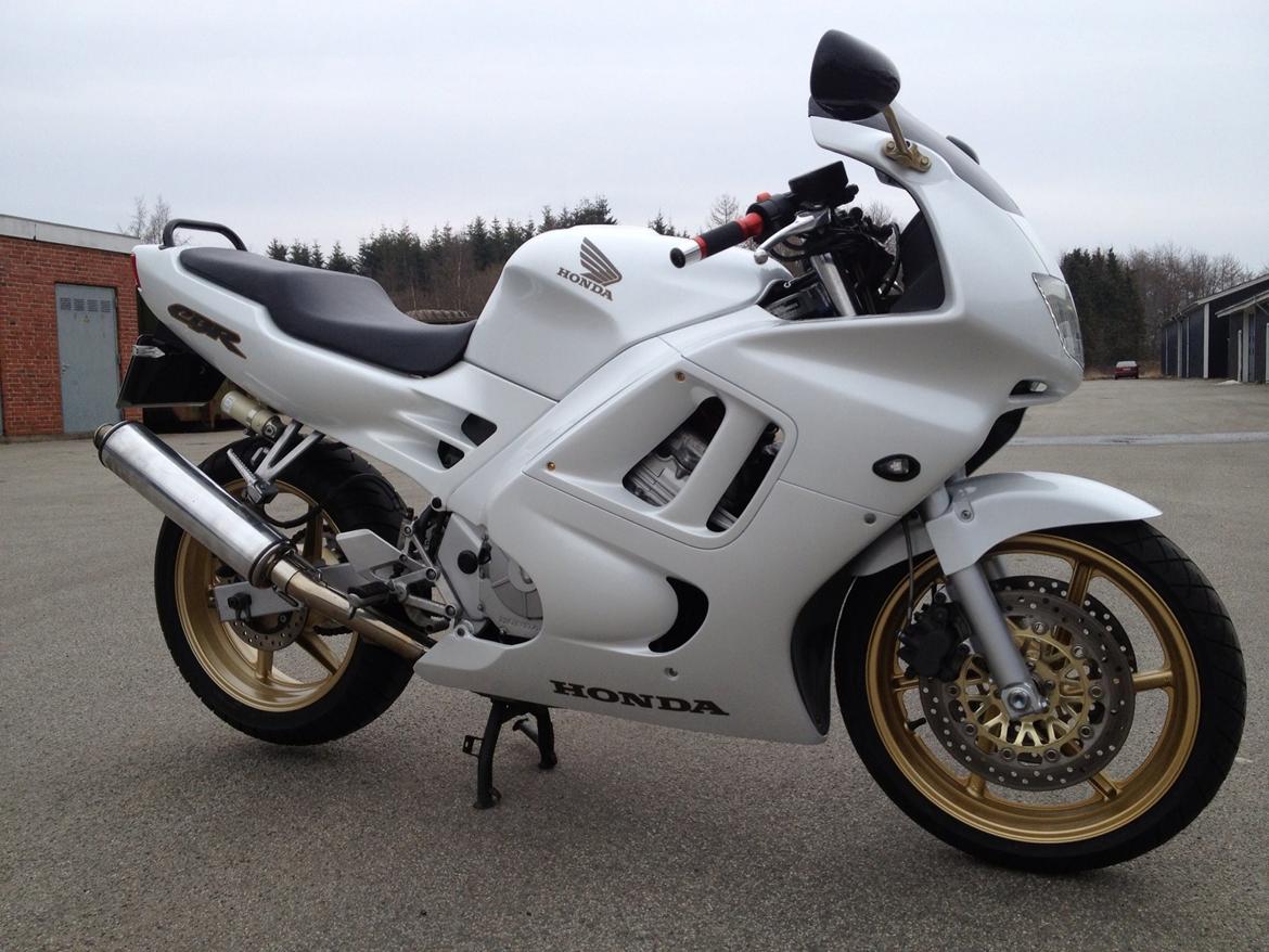 Honda Cbr 600 billede 5