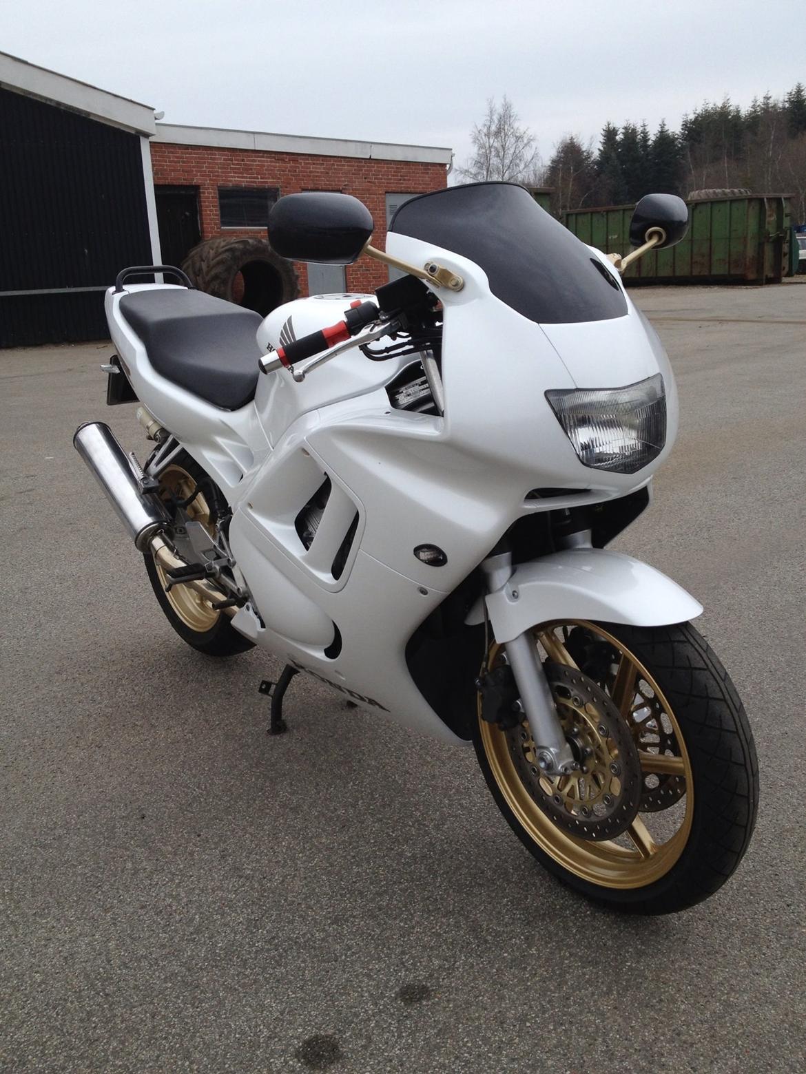 Honda Cbr 600 billede 8