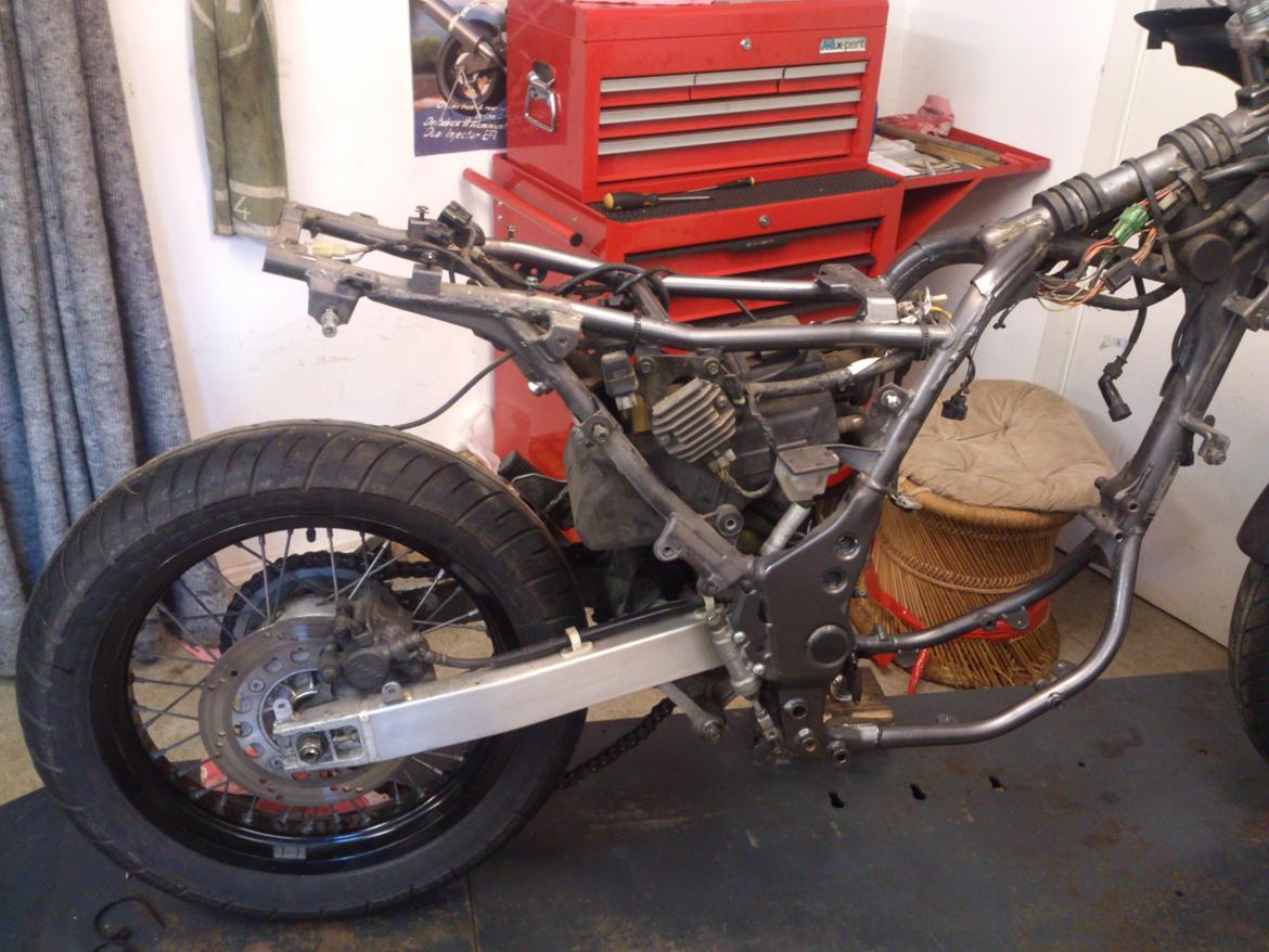 Suzuki XF 650 billede 4