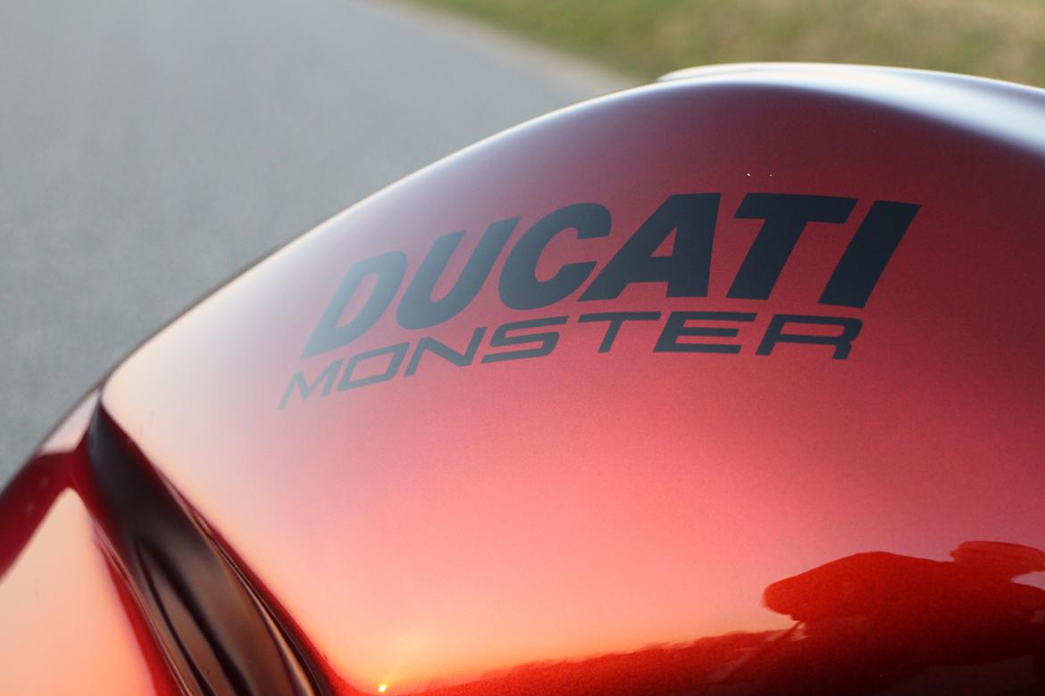 Ducati Monster billede 6