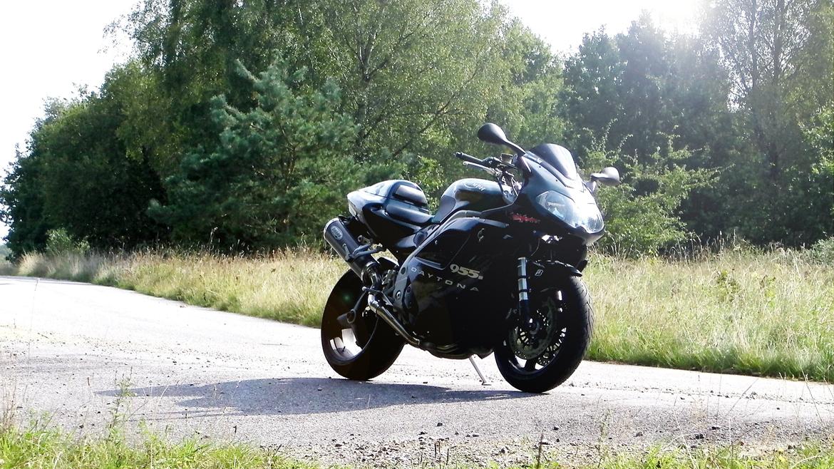 Triumph Daytona 955i CE billede 10