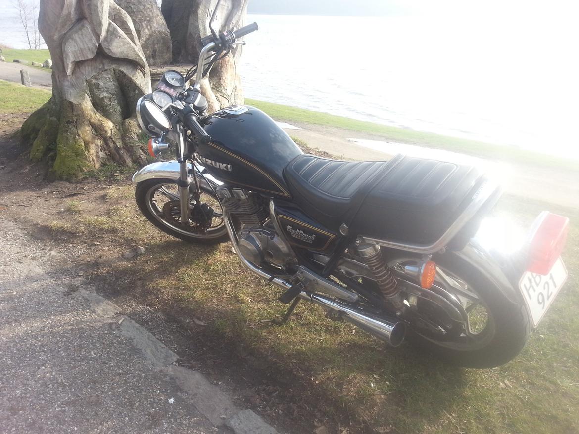 Suzuki gsx 250 traditionel billede 7