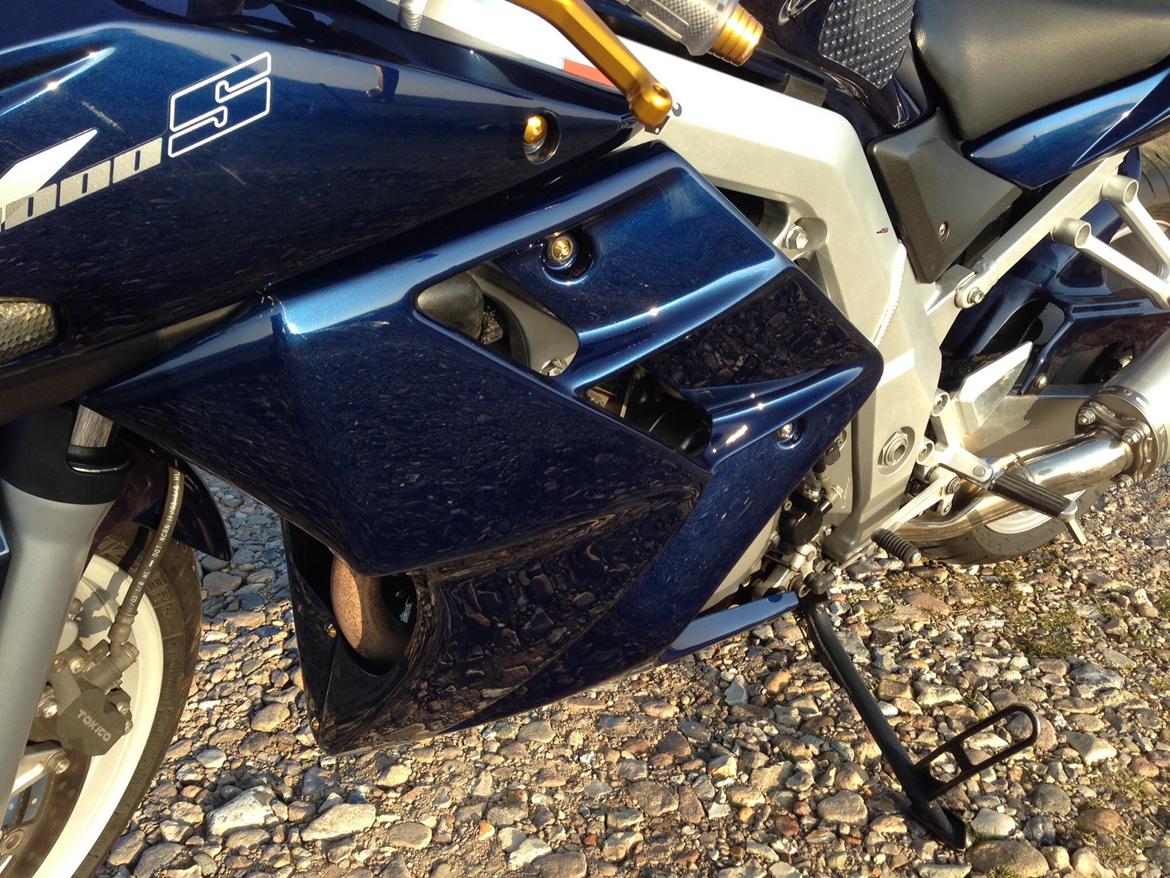 Suzuki SV 1000S billede 3