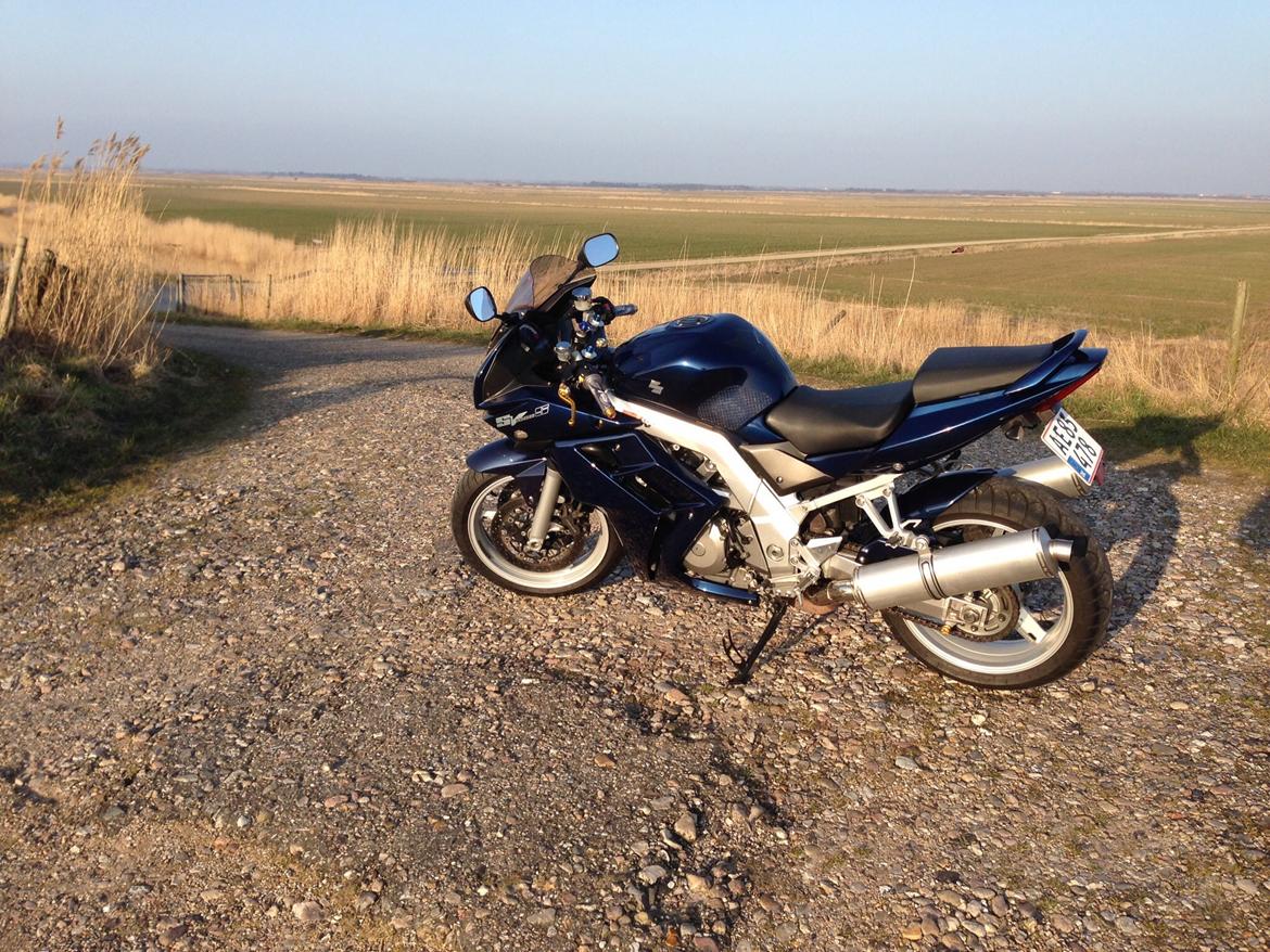 Suzuki SV 1000S billede 1