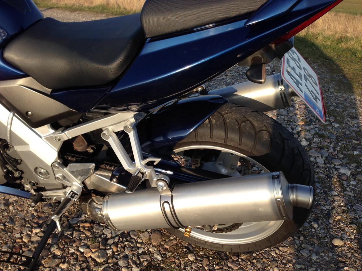 Suzuki SV 1000S billede 8