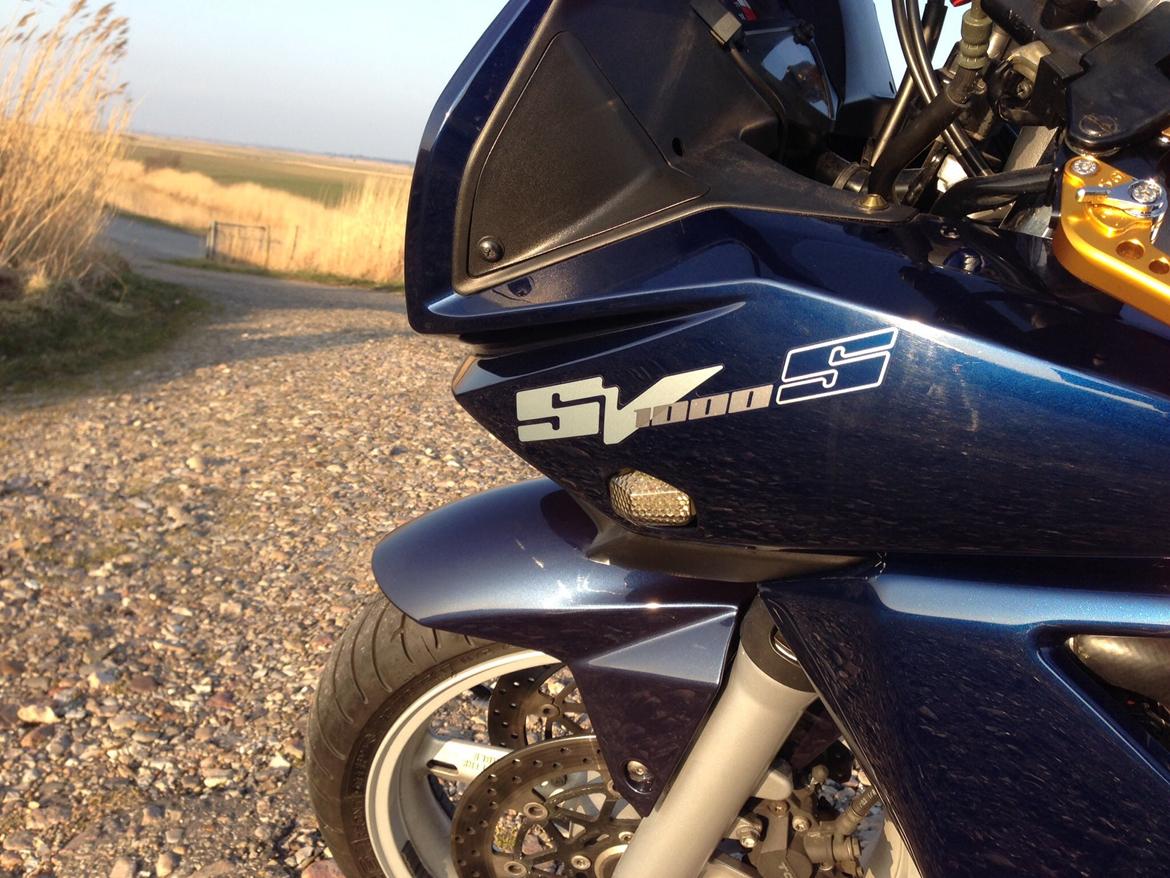 Suzuki SV 1000S billede 9