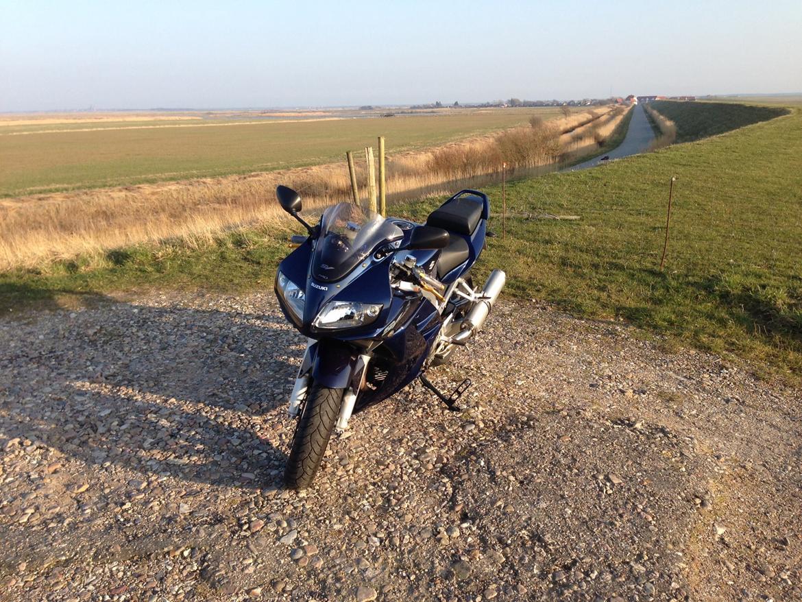 Suzuki SV 1000S billede 10