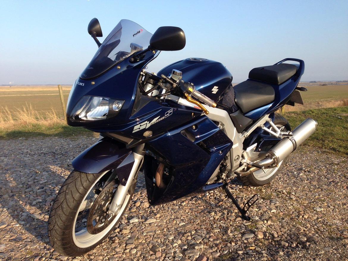 Suzuki SV 1000S billede 2