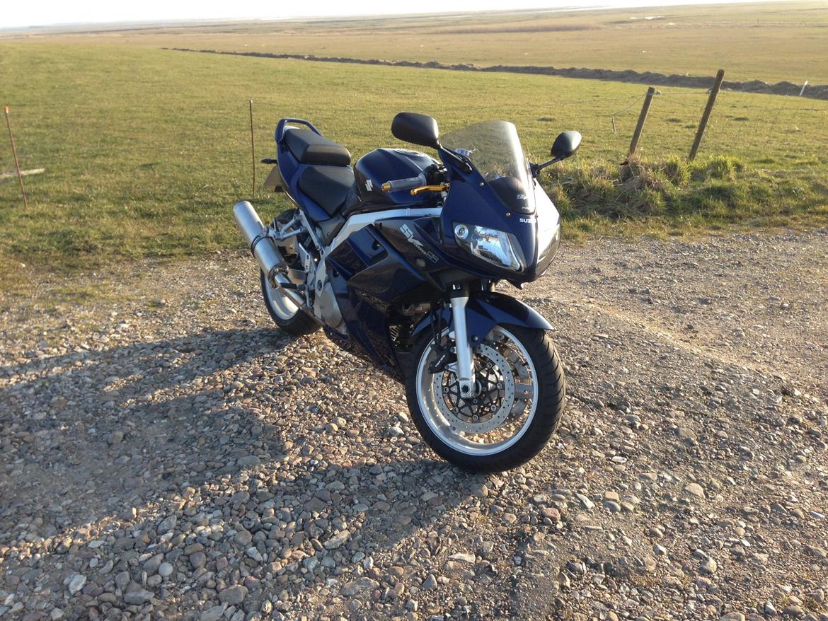 Suzuki SV 1000S billede 6