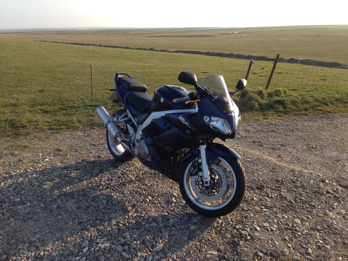 Suzuki SV 1000S billede 11