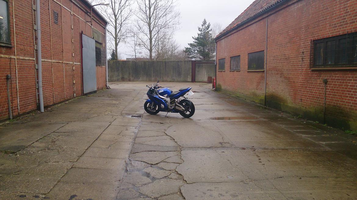 Yamaha YZF R6 billede 11