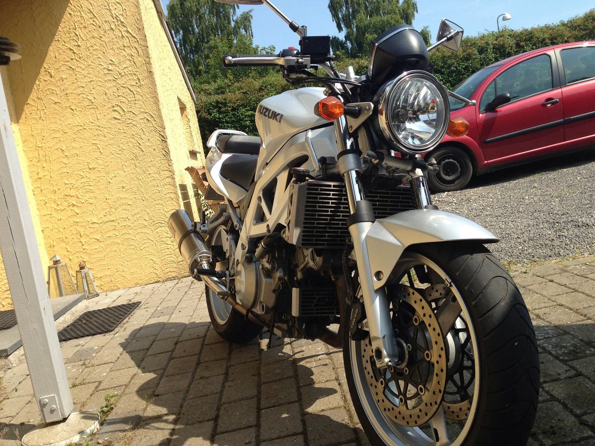 Suzuki SV1000 N billede 3