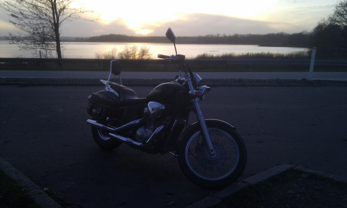 Honda VT600C billede 5