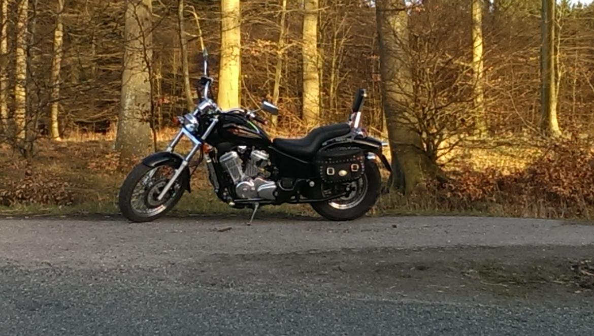 Honda VT600C billede 13
