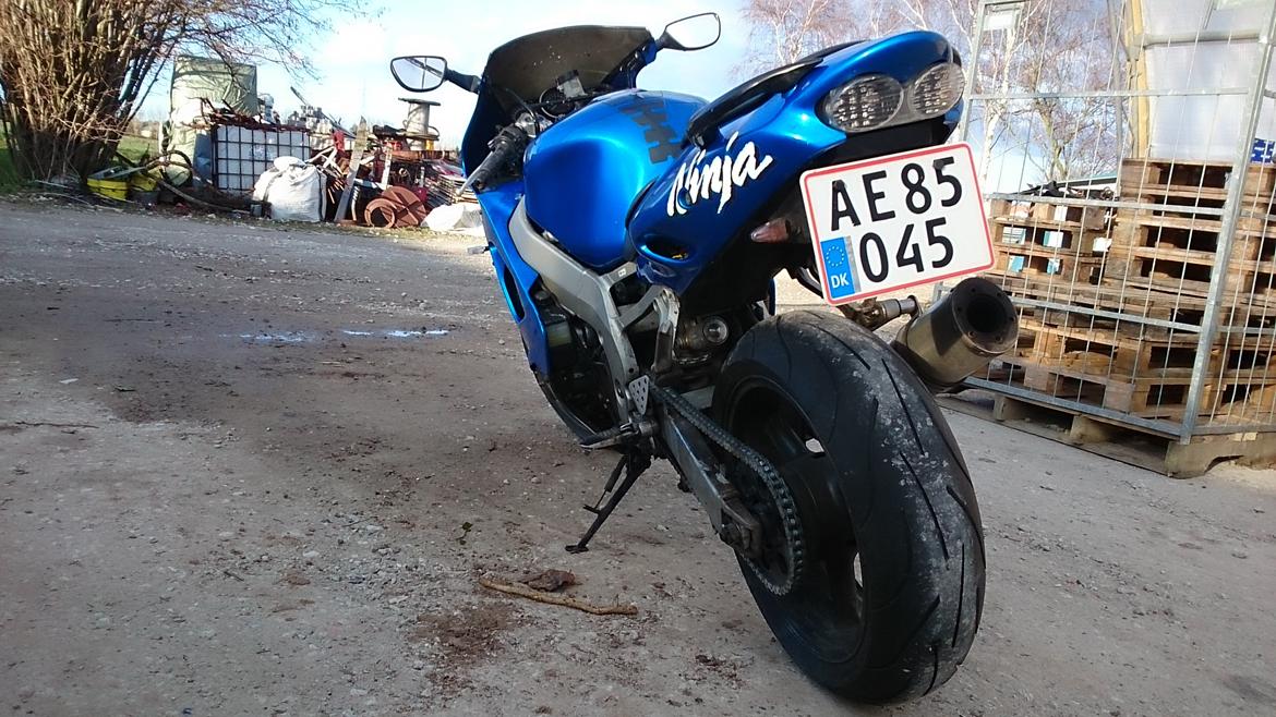 Kawasaki ZX9R Ninja billede 3