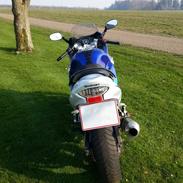 Suzuki GSX 600 F