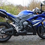 Yamaha YZF R1 RN19