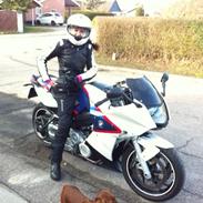 BMW F800S