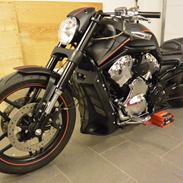 Harley Davidson V rod