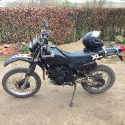 Honda XL 600 R