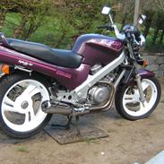 Honda NTV 650 Revere