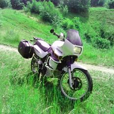 Honda XL600 V Transalp (PD06)